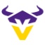 Vienna Vikings